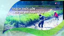 💚Việt Nam xanh & phát triển bền vững 10:Thách thức sản xuất nông nghiệp truyền thống