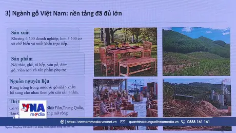 Ngành gỗ có thể xuất siêu 15 tỷ USD