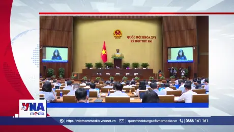🟢 Trạm tin số chiều ngày 21/10: Sửa đổi, bổ sung 6 luật thuộc lĩnh vực y tế.