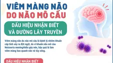 Viêm màng não do não mô cầu: Dấu hiệu nhận biết và đường lây truyền