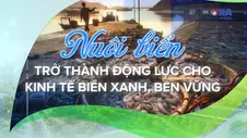 💚Việt Nam xanh & phát triển bền vững: Kinh tế biển xanh – Hướng khai thác tới thủy sản bền vững