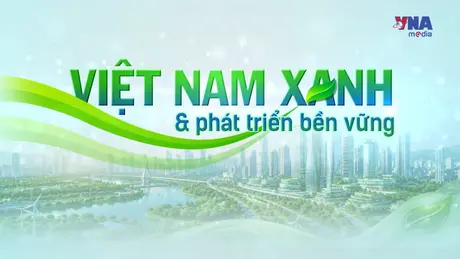 Việt Nam Xanh và Phát triển bền vững: Tín chỉ carbon, tấm vé thông hành tại các thị trường lớn toàn cầu