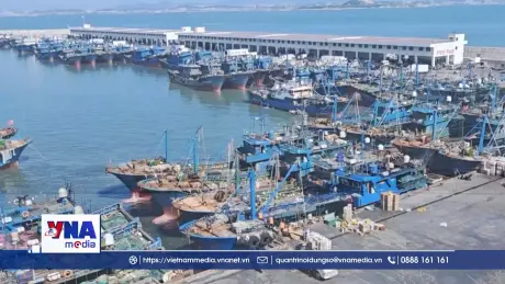 Trung Quốc khẩn cấp ứng phó siêu bão CHAMPI