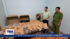 TP. Hồ Chí Minh triệt phá đường dây ma túy, bắt giữ 151 đối tượng