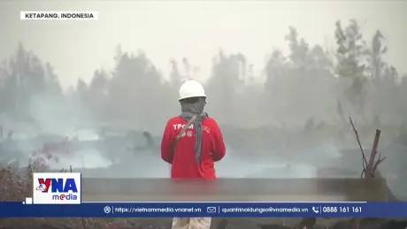 Cháy rừng tiếp tục hoành hành Indonesia