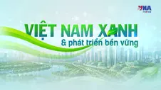 Việt Nam Xanh và Phát triển bền vững: Tín chỉ carbon, tấm vé thông hành tại các thị trường lớn toàn cầu