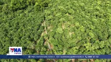 Cây cà phê – Đòn bẩy giảm nghèo bền vững đổi thay vùng đất khó