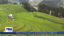 Những cung đường níu chân du khách ở Lào Cai