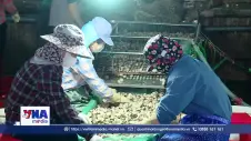 Liên kết chuỗi giá trị, nâng tầm nông sản Ninh Bình