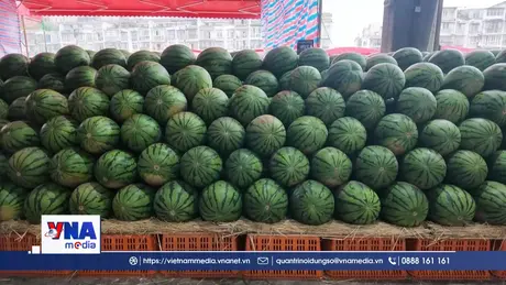 Rút ngắn hành trình thực phẩm tươi đến với người tiêu dùng