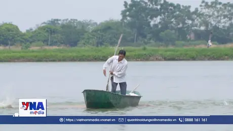 Cổ Đô gỡ điểm nghẽn để phát triển thủy sản hàng hóa