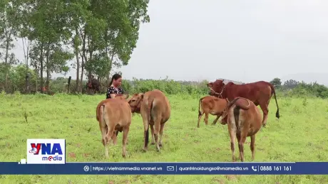 Đắk Lắk tạo sinh kế, hướng đến giảm nghèo bền vững