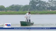 Cổ Đô gỡ điểm nghẽn để phát triển thủy sản hàng hóa