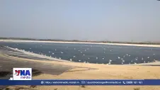 Trạm tiếp sức cho hàng chục nghìn cánh chim di cư qua Israel