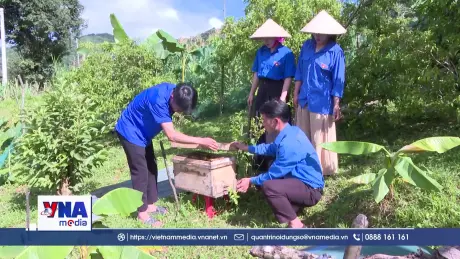 Thanh niên xã vùng cao Tà Tổng tích cực tham gia phát triển kinh tế