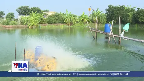 Phát huy vai trò chi bộ vùng giáo xây dựng quê hương