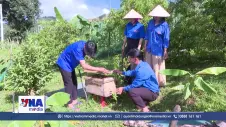 Thanh niên xã vùng cao Tà Tổng tích cực tham gia phát triển kinh tế