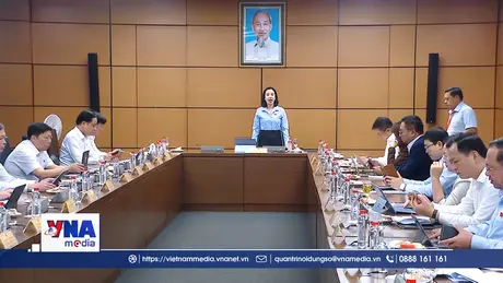 Cân nhắc kéo dài thời hiệu xử phạt vi phạm hành chính