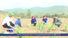 Xây dựng nông thôn mới theo hướng hiện đại, bền vững