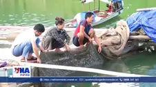 Mở hướng sinh kế từ những dự án hỗ trợ ở Lai Châu