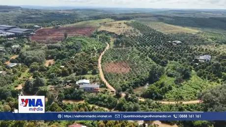Kỳ vọng từ tổ hợp dự án Bauxite tỷ đô ở Đồng Nai