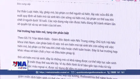 C﻿ung cấp thông tin minh bạch, chính xác t﻿ránh hiểu nhầm về chính sách hiến, ghép mô, tạng ở trẻ em
