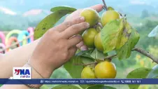Chuyển đổi số hướng phát triển cho nông nghiệp Lạng Sơn