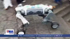 Robot sẵn sàng tranh tài tốc độ trong cuộc đua leo núi Thái Sơn