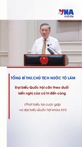 Đại biểu Quốc hội cần theo đuổi kiến nghị của cử tri đến cùng