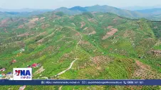 Liên kết sản xuất bảo đảm đầu ra nông sản
