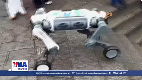 Robot sẵn sàng tranh tài tốc độ trong cuộc đua leo núi Thái Sơn