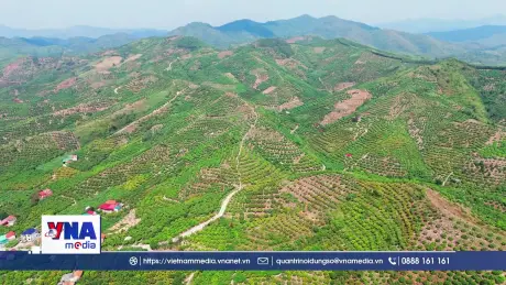 Liên kết sản xuất bảo đảm đầu ra nông sản