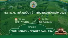 Festival Trà quốc tế - Thái Nguyên năm 2026