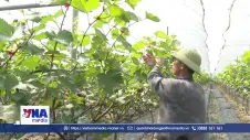 Nông dân hiện đại - Làm chủ sản xuất đến kết nối giá trị