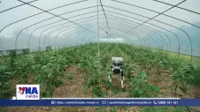 Trung Quốc ứng dụng robot AI trong nông nghiệp