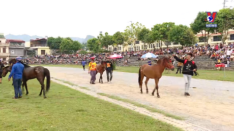Hành trình Việt số 324: Đua ngựa Bắc Hà - Nét văn hóa đặc sắc vùng cao Tây Bắc