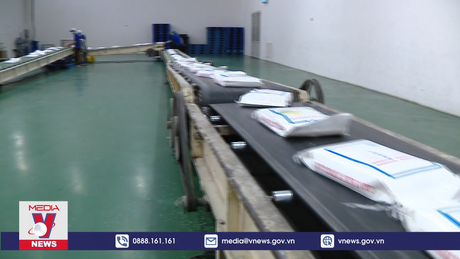 Đề nghị bổ sung cơ chế quy định giá sàn xuất khẩu gạo