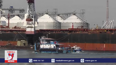 LHQ đề xuất giải pháp khôi phục thỏa thuận ngũ cốc