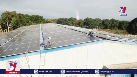 Bộ Công Thương báo cáo Thủ tướng về giá điện gió, điện mặt trời 