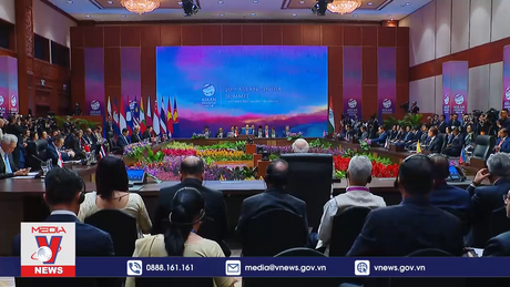 Thủ tướng dự Hội nghị cấp cao ASEAN - Ấn Độ