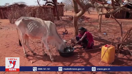 “Lục địa Đen” đi đầu trong hành động về khí hậu