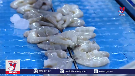 Sóc Trăng cần phát huy tiềm năng tăng tốc phát triển