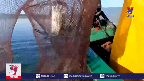 Bản tin thời sự 6h ngày 10/9/2023