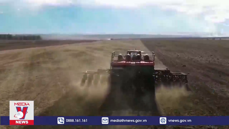 Nga nêu điều kiện quay lại thỏa thuận ngũ cốc Biển Đen