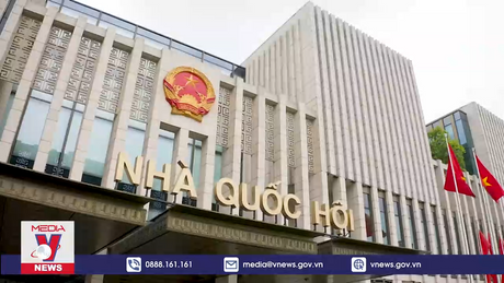 Phát huy vai trò của nghị sĩ trẻ 