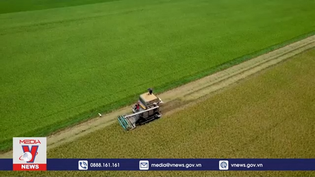 Nông dân Thái Lan tích cực tăng sản lượng gạo
