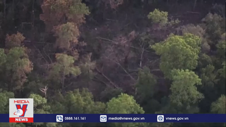 Mỹ tìm thấy xác máy bay F35 gặp nạn