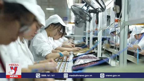 Trung Quốc, EU đối thoại cấp cao về hợp tác kỹ thuật số